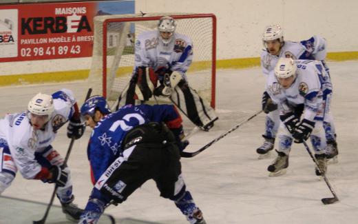 Photo hockey Division 1 - D1 : 14me journe : Brest  vs Reims - Les Phnix enflamment les Albatros.