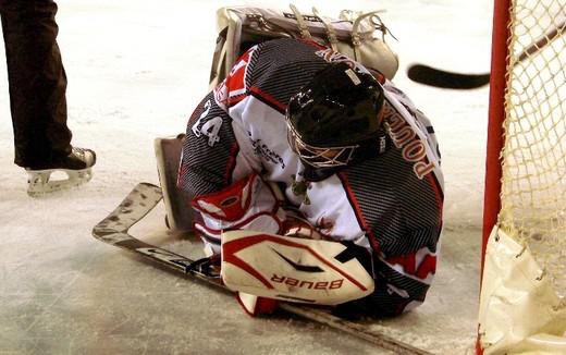 Photo hockey Division 1 - D1 : 16me journe : Brest  vs Mulhouse - Les Albatros prennent le large.