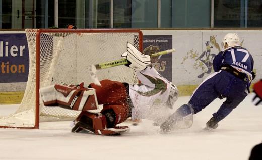 Photo hockey Division 1 - D1 : 5me journe : Montpellier  vs Cergy-Pontoise - La bonne pioche ! Pas de jokers pour les vipers