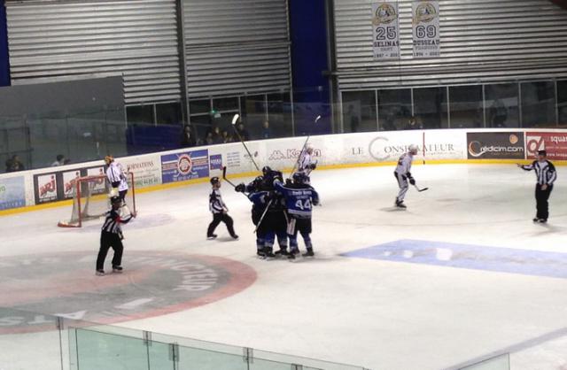 Photo hockey Division 1 - D1 : Play Off - 1/4 de finale, match 3  : Nantes vs Reims - Reims, en demi, chavire de bonheur