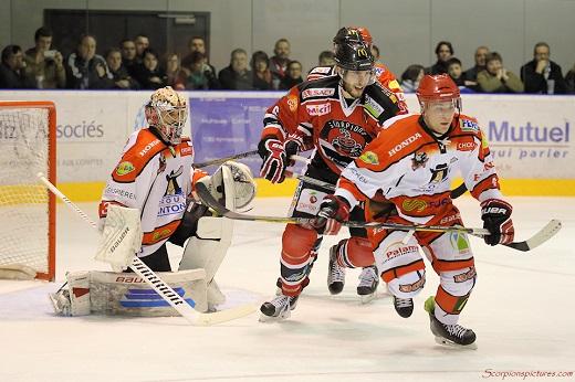 Photo hockey Division 1 - Division 1 : 17me journe : Mulhouse vs Cholet  - Les Dogs s