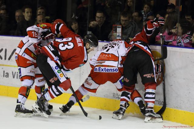 Photo hockey Division 1 - Division 1 : 17me journe : Mulhouse vs Cholet  - Les Dogs s