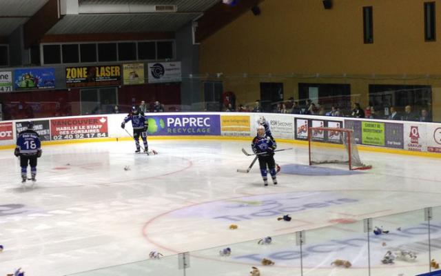 Photo hockey Division 1 - Division 1 : 17me journe : Nantes vs Mont-Blanc - Avalanche de buts  Nantes