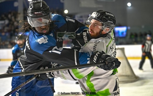 Photo hockey Division 1 - Division 1 : 20me journe : Nantes vs Epinal  - Epinal simpose  Nantes en leader ! 