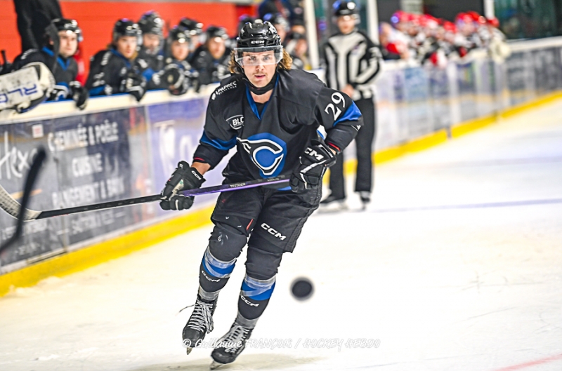 Photo hockey Division 1 - Division 1 : 21me journe : Nantes vs Neuilly/Marne - Nantes chasse le bison