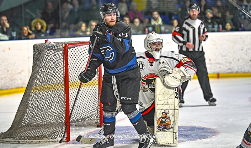 Photo hockey Division 1 - Division 1 : 21me journe : Nantes vs Neuilly/Marne - Nantes chasse le bison