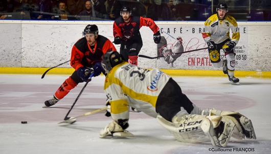 Photo hockey Division 1 - Division 1 : 25me journe : Nantes vs Chambry - Nantes remporte une prcieuse victoire face aux lphants