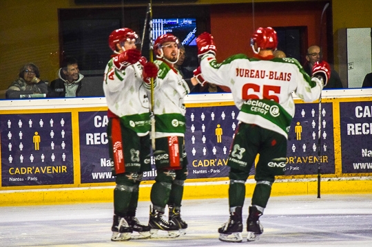 Photo hockey Division 1 - Division 1 : 4me journe : Nantes vs Cergy-Pontoise - Nantes sombre  domicile