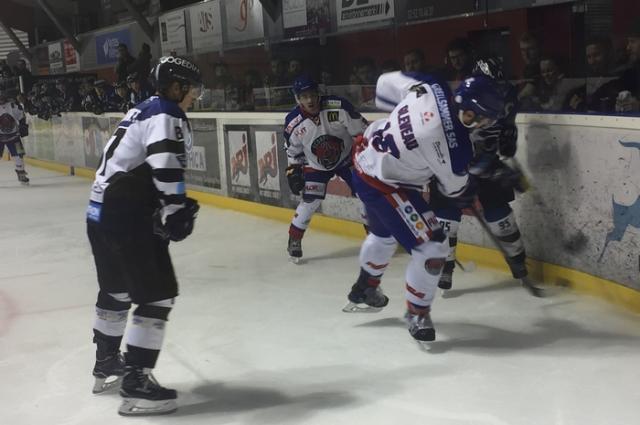 Photo hockey Division 1 - Division 1 : 4me journe : Nantes vs Mulhouse - Un rveil trop tardif pour les Nantais