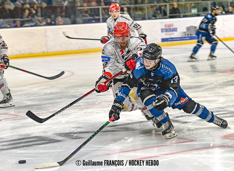 Photo hockey Division 1 - Division 1 : 7me journe : Nantes vs Cholet  - Nantes chute lourdement face  Cholet