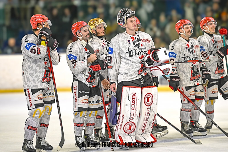 Photo hockey Division 1 - Division 1 : 7me journe : Nantes vs Cholet  - Nantes chute lourdement face  Cholet