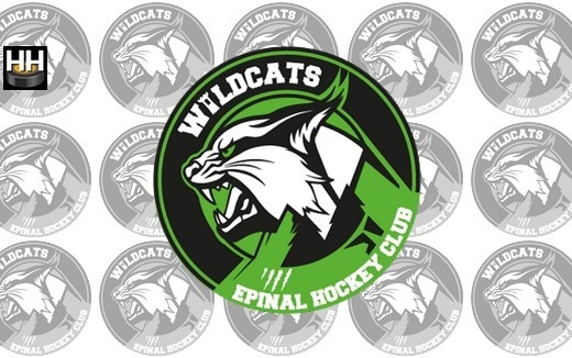 Photo hockey Division 1 - Division 1 : Epinal  (Les Wildcats) - Epinal 2024-2025