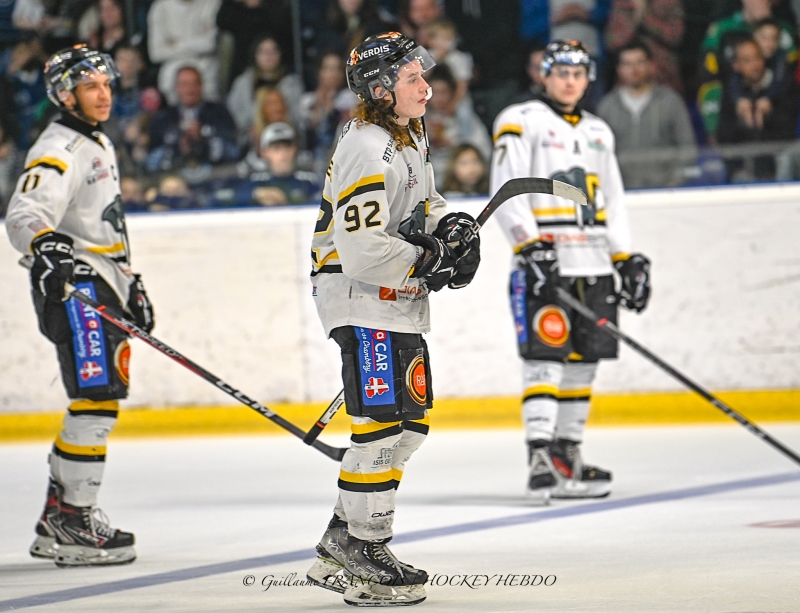 Photo hockey Division 1 - Division 1 - Finale match 1 : Nantes vs Chambry - La 1re victoire de la finale est Nantaise