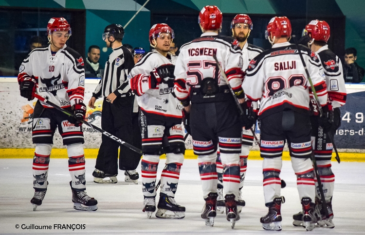 Photo hockey Division 1 - Division 1 - Quart de Finale match 3 : Nantes vs Neuilly/Marne - Les Bisons rendent les armes et Nantes passe en demi