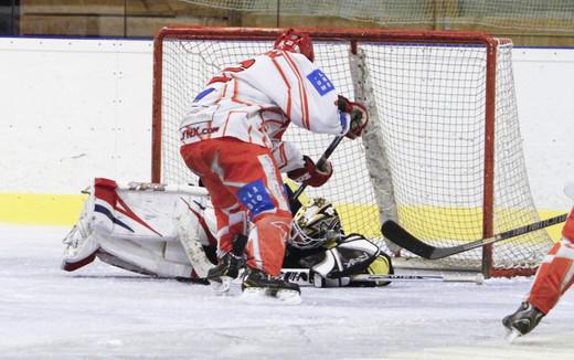 Photo hockey Division 2 - D2 : 8me journe - B : Roanne vs Valence - Les Renards au fond du terrier