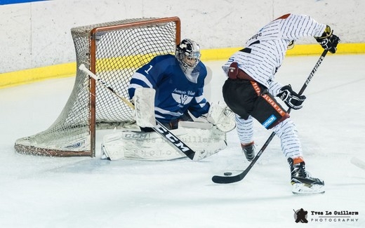 Photo hockey Division 2 - Division 2 : 11me journe : Paris (FV) vs Colmar - Reportage photos