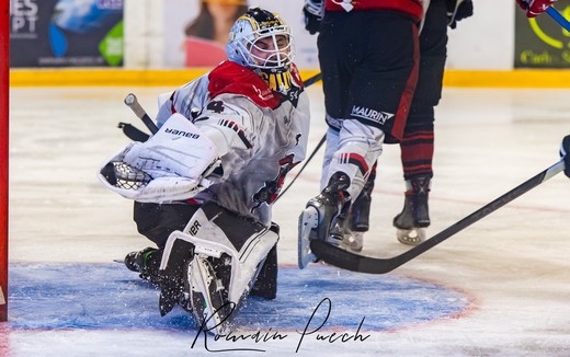 Photo hockey Division 2 - Division 2 : 5me journe : Toulouse-Blagnac vs Annecy - Les Belougas enchanent !