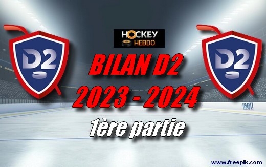 Photo hockey Division 2 - Division 2 - D2 - Bilan d