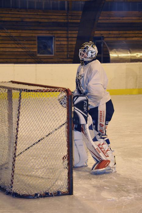 Photo hockey Division 2 - Division 2 : Roanne (Les Renards) - Prsentation du Club des Hockeyeurs Roannais