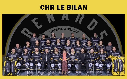 Photo hockey Division 2 - Division 2 : Roanne (Les Renards) - Roanne fait le bilan de sa saison