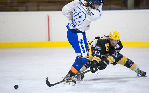 Photo hockey Division 3 - D3 : Play Off 1/4 de finale Aller : Roanne vs Marseille - Les Renards ont faim