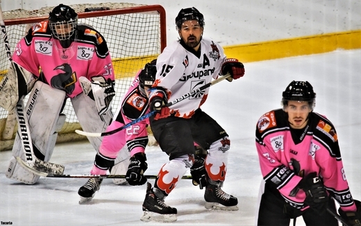 Photo hockey Division 3 - Division 3 - 18me journe  : Rennes vs Poitiers - Poitiers s