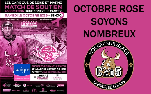Photo hockey Division 3 - Division 3 - Les Caribous et Octobre rose