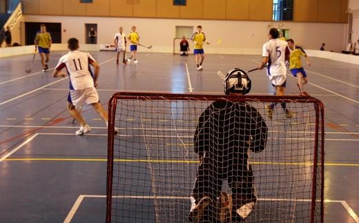 Photo hockey Floorball  - Floorball  - Le Floorball : Un sport en devenir 