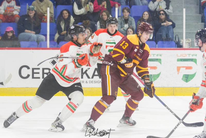 Photo hockey Hockey dans le Monde - Hockey dans le Monde - Universitaires - Trois rivires vs Concordia