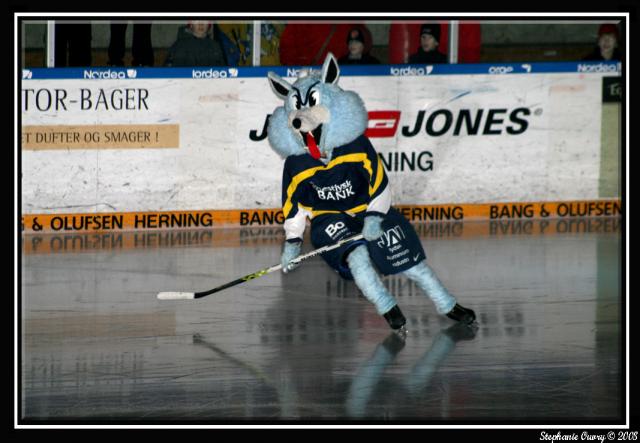 Photo hockey Hockey en Europe - Hockey en Europe - Le Danemark a son champion 2007/2008