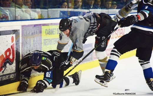 Photo hockey Hockey en France -  : Nantes  vs Brest  - Les Nantais haussent le ton 