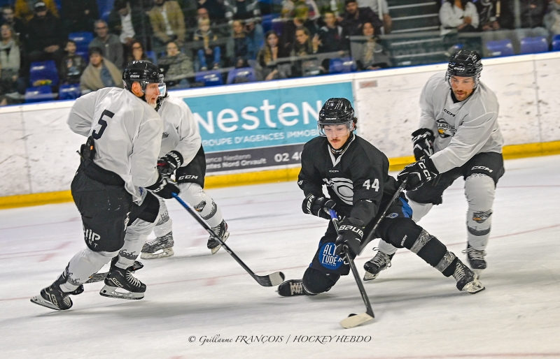 Photo hockey Hockey en France -  : Nantes vs Brest  - Nantes tombe en fin de partie face aux albatros