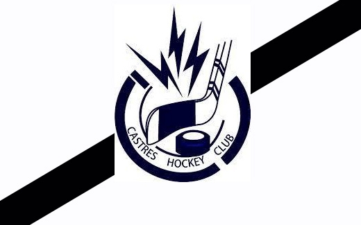 Photo hockey Hockey en France - Hockey en France : Castres (Castres Hockey Club) - Le Castres Hockey Club menac de disparaitre