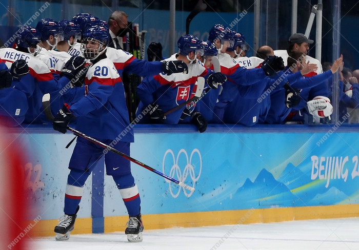 Photo hockey Jeux olympiques -  : Sude (SWE) vs Slovaquie (SVK) - Les Slovaques historiquement bronzs