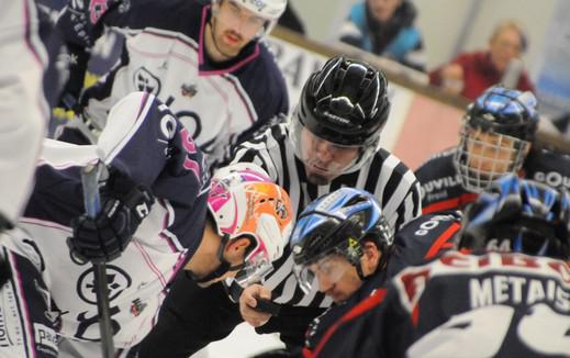 Photo hockey Ligue Magnus - Ligue Magnus : 11me journe : Caen  vs Epinal  - Le ralisme des Dauphins