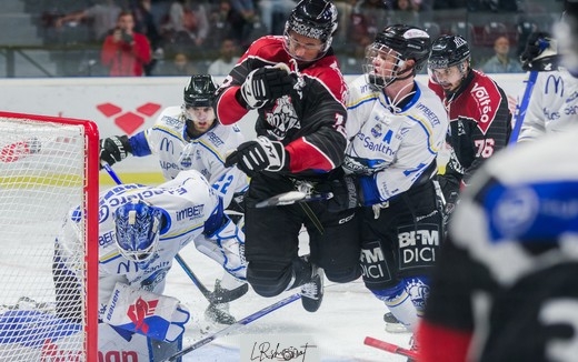 Photo hockey Ligue Magnus - Ligue Magnus : 12me journe : Bordeaux vs Gap  - Les Rapaces tiennent leur revanche  Mriadeck ! 
