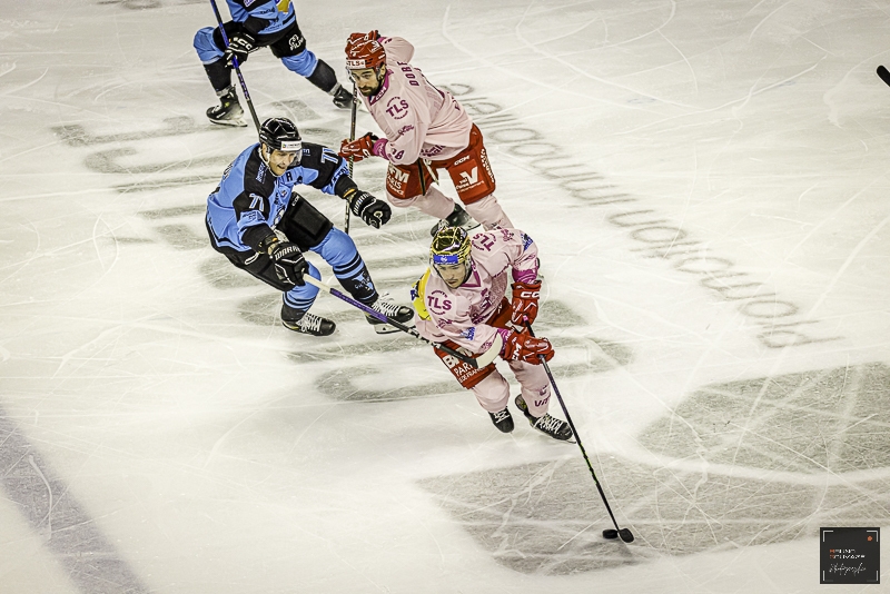 Photo hockey Ligue Magnus - Ligue Magnus : 12me journe : Cergy-Pontoise vs Marseille - Marseille ne trbuche pas  Cergy