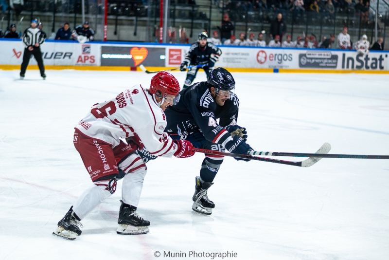 Photo hockey Ligue Magnus - Ligue Magnus : 15me journe : Angers  vs Brianon  - Angers s