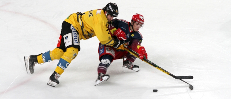 Photo hockey Ligue Magnus - Ligue Magnus : 15me journe : Grenoble  vs Rouen - La Magnus baisse le rideau ! 