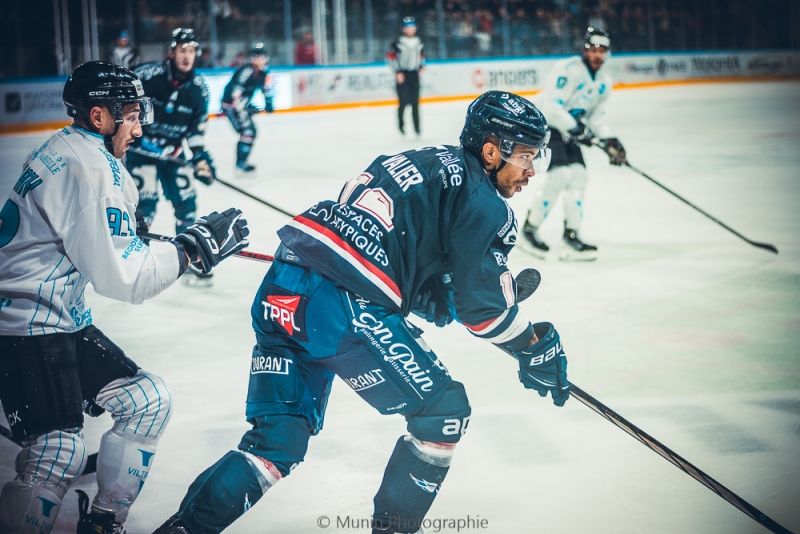 Photo hockey Ligue Magnus - Ligue Magnus : 19me journe : Angers  vs Marseille - Victoire des Ducs vs Marseille - RESUME VIDEO + PHOTOS