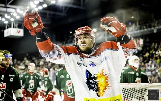 Photo hockey Ligue Magnus - Ligue Magnus : 1re journe : Cergy-Pontoise vs Grenoble  - La rentre tonitruante de Grenoble  Cergy