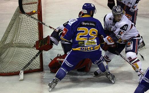 Photo hockey Ligue Magnus - Ligue Magnus : 21me journe : Dijon  vs Grenoble  - Communiqu de presse et photos