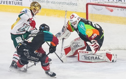 Photo hockey Ligue Magnus - Ligue Magnus : 22me journe : Amiens  vs Anglet - Victoire d