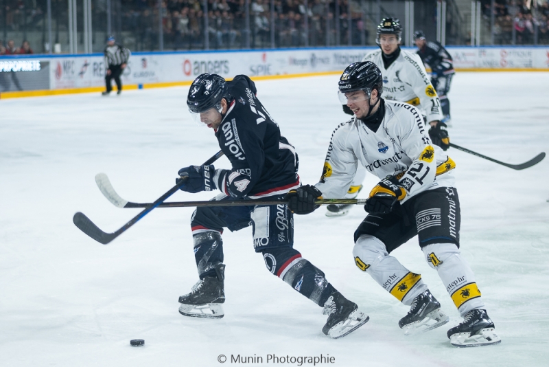 Photo hockey Ligue Magnus - Ligue Magnus : 22me journe : Angers  vs Rouen - Angers concde sa premire dfaite  domicile !