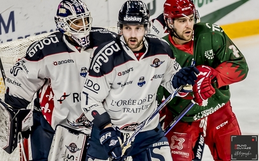 Photo hockey Ligue Magnus - Ligue Magnus : 24me journe : Cergy-Pontoise vs Angers  - Les Ducs ne sarrtent plus !