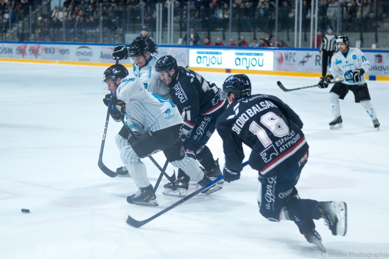 Photo hockey Ligue Magnus - Ligue Magnus : 25me journe : Angers  vs Marseille - Angers s