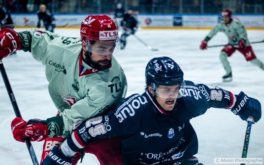 Photo hockey Ligue Magnus - Ligue Magnus : 29me journe : Angers  vs Cergy-Pontoise - Angers s