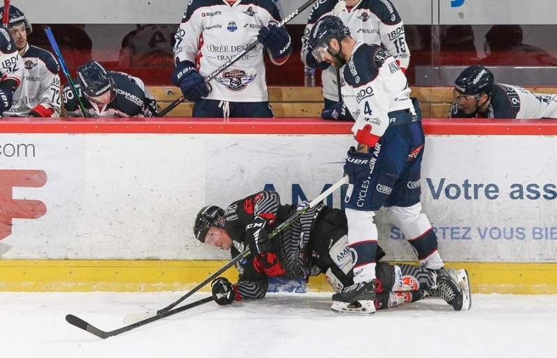 Photo hockey Ligue Magnus - Ligue Magnus : 31me journe : Amiens  vs Angers  - Amiens s