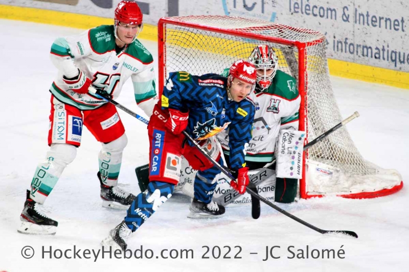 Photo hockey Ligue Magnus - Ligue Magnus : 31me journe : Grenoble  vs Anglet - Et de 15 pour Grenoble ! 