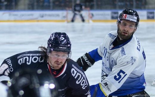 Photo hockey Ligue Magnus - Ligue Magnus : 33me journe : Angers  vs Gap  - Angers s